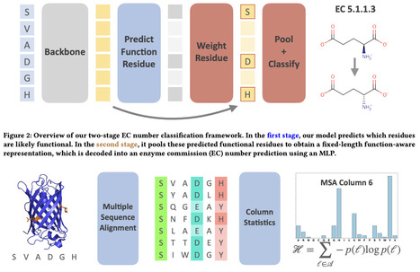 Enzyme Classification via Semi-Supervised Functional Residue Learning | brvai | RMH | Scoop.it