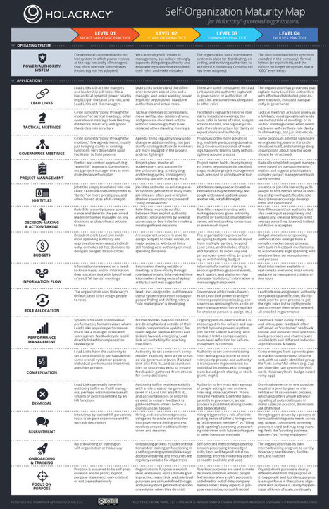Self-Organization Maturity Map | Peer2Politics | Scoop.it