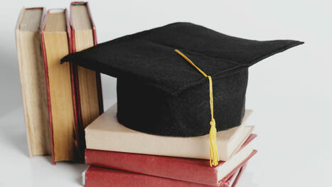 Quelles sont les chiffres clés du doctorat en 2023-2024 ? | ACTUALITES EN ORIENTATION ET INSERTION PROFESSIONNELLE | Scoop.it