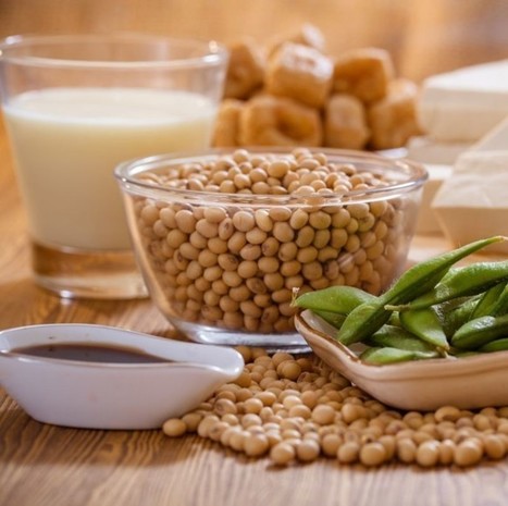 Sojaxa publie son 3e barom&egrave;tre sur la consommation de soja en France / Ingr&eacute;dients - Process Alimentaire | AGROALIMENTAIRE | Scoop.it