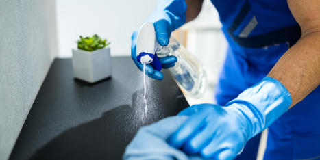 5 Steps You Can Take to Make Your Office Greener | End Of Lease Cleaning Melbourne | Scoop.it