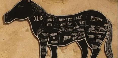 Une nouvelle affaire de viande de cheval éclate dans l'Est de la France | Toxique, soyons vigilant ! | Scoop.it