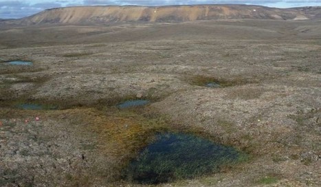 [Science] Dans l’Arctique, le permafrost fond 70 ans plus tôt que prévu et c’est une catastrophe | Toxique, soyons vigilant ! | Scoop.it