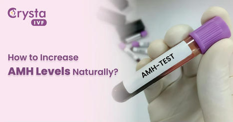 How to Increase AMH Levels Naturally? | Fertility Treatment in India | Scoop.it