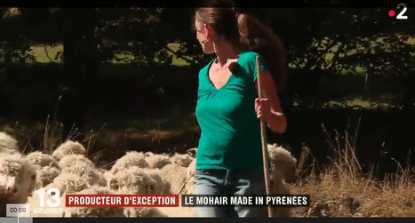La laine mohair des Pyrénées, un produit local d'exception | Vallées d'Aure & Louron - Pyrénées | Scoop.it