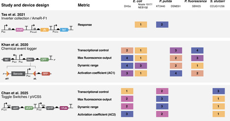 Broad-Host-Range Synthetic Biology: Rethinking Microbial Chassis as a Design Variable | asb | RMH | Scoop.it