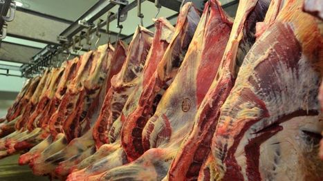 Le sauvetage des abattoirs de Montauban | La Gazette des abattoirs | Scoop.it