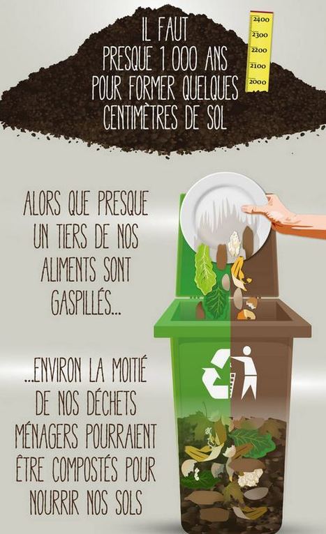 Infographie : Les fonctions du sol et les risques encourus | EntomoScience | Scoop.it