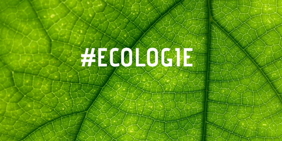 &Eacute;cologie : S&eacute;lection d'articles | Une semaine d'actu - Newsletter de veille de l'AURH | Scoop.it
