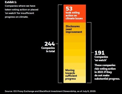 Our Approach to Sustainability - BlackRock - Harvard Law School | Pour une gouvernance cr&eacute;atrice de valeurs&reg; | Scoop.it