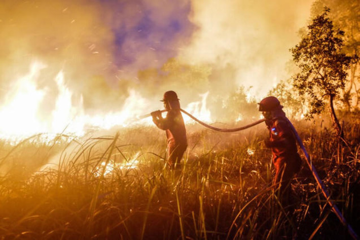 Super El Ni&ntilde;o could lead to mega CO2 emissions from fires in Indonesia | Science & Technology Report - Changing Our World | Scoop.it