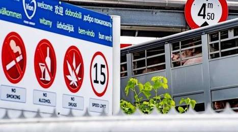 Coronavirus aux Pays-Bas : Fermeture d’un abattoir dans le centre du pays | La Gazette des abattoirs | Scoop.it