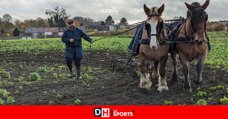 La force équine utilisée dans le potager du CPAS de Frameries (VIDÉO) - La DH/Les Sports+ | Social | Scoop.it