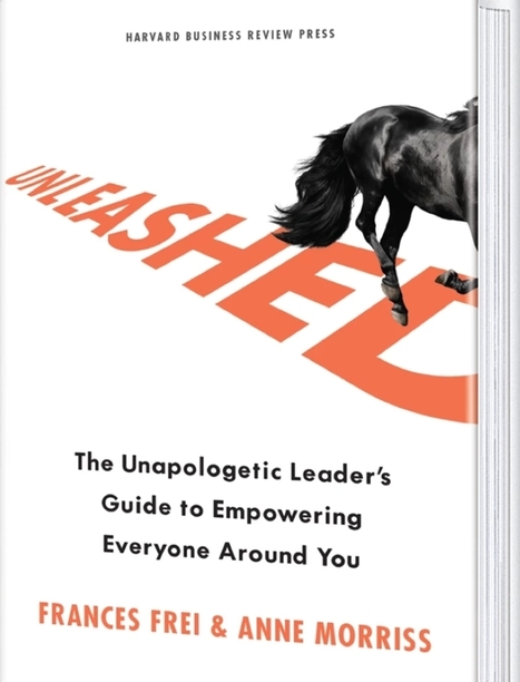Q&A on the Book Unleashed | Devops for Growth | Scoop.it