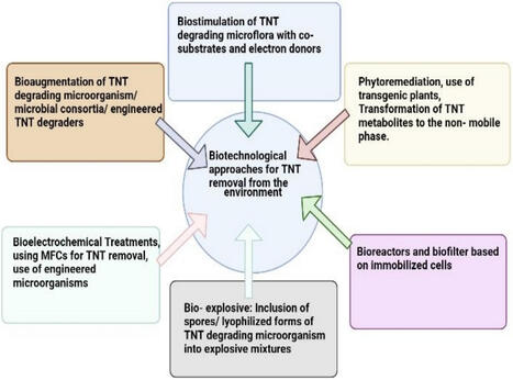 Degradation dynamics: an insight into microbial interactions with explosive compounds | RMH | Scoop.it