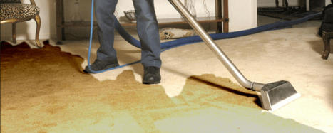 Professional Carpet Water Damage Restoration in Melbourne | Capitalrestoration Cleaning | Scoop.it