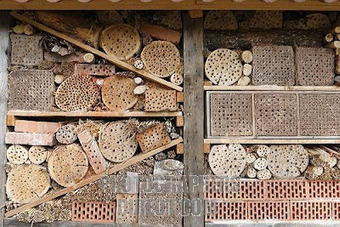 Native Bee Houses | Gardening Life | Scoop.it