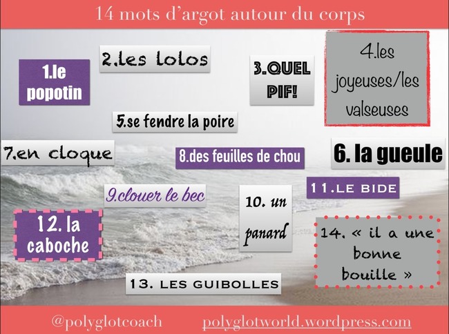 Caboche,bide,miches&hellip;D&eacute;couvrez l&rsquo;argot du corps humain | POURQUOI PAS... EN FRAN&Ccedil;AIS ? | Scoop.it