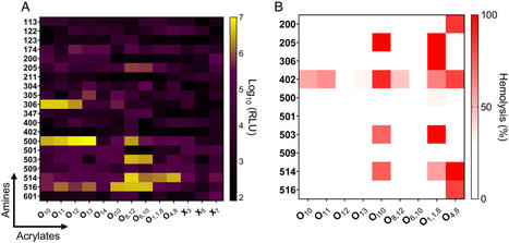 Designing nanoparticles for pregnancy-safe treatments | Virology News | Scoop.it