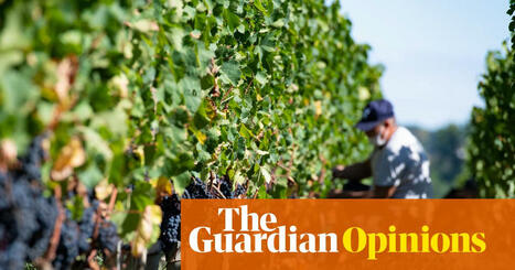 The Guardian view on France’s wine crisis: the answer to claret could be clairet | Editorial | The Guardian | Microeconomics: IB Economics | Scoop.it