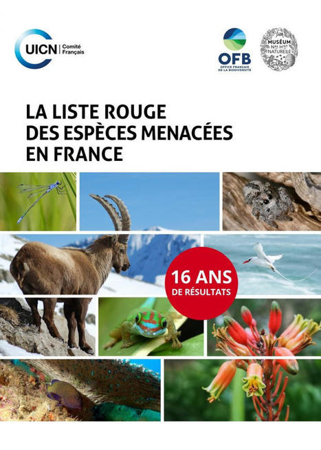 Liste rouge des espèces menacées en France : 16 ans de résultats | Insect Archive | Scoop.it