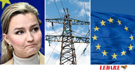 Svenska flaskhalsavgifter ska inte g&aring; till EU | 1Uutiset - Lukemisen t&auml;hden | Scoop.it