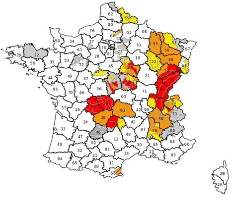 Les Pyrénées moins touchées par la sécheresse que les autres massifs | Vallées d'Aure & Louron - Pyrénées | Scoop.it