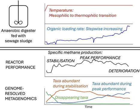 From Low-Loaded Mesophilic to High-Loaded Thermophilic Anaerobic Digestion: Changes in Reactor Performance and Microbiome | mbt | RMH | Scoop.it
