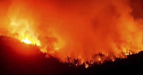 The implications of California's first million-acre wildfire | Coastal Restoration | Scoop.it