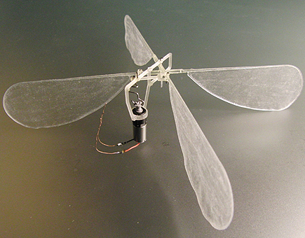 Discovery Noticias: Insectos mecánicos “vuelan” con alas impresas | Bichos en Clase | Scoop.it