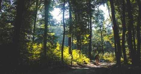 A Daily Mindful Walking Practice - Mindful.org | Professional Learning for Busy Educators | Scoop.it