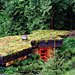 An easy-to-make green roof garden | Gardening Life | Scoop.it