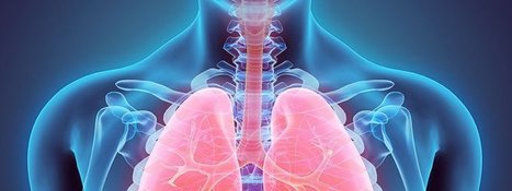 Experts Release New Asthma Care Guidelines | Allergy (and clinical immunology) | Scoop.it