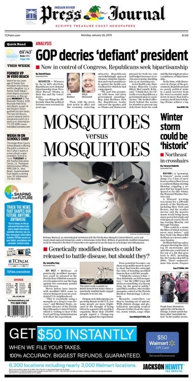 La Floride s'apprête à lâcher des moustiques génétiquement modifiés sur son territoire | EntomoNews | Scoop.it