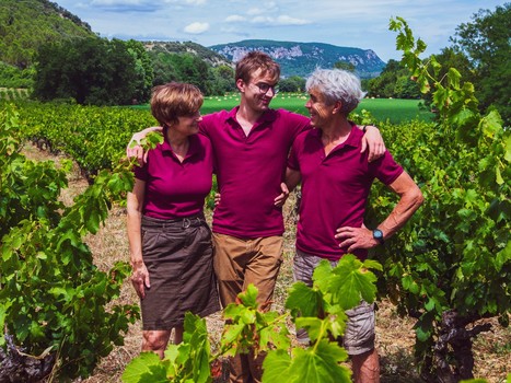 Hérault - Le Domaine D'anglas décroche une 5ème étoile au classement Atout France | Hébergements et restaurants en Occitanie | Scoop.it