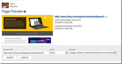 Page Preview Control in Bing Webmaster Tools | Bonnes Pratiques Web & Cloud | Scoop.it