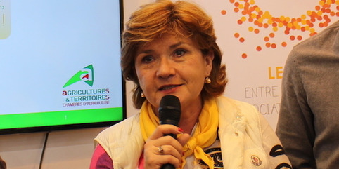 Angélique Delahaye mène une mission de prospective sur la Pac de l'après 2020 | Veille territoriale AURH | Scoop.it
