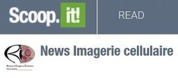 Un nouveau Scoop.it! du R&eacute;seau d'Imagerie Cellulaire de Paris Saclay (RIC Paris-Saclay) | Life Sciences Universit&eacute; Paris-Saclay | Scoop.it