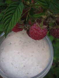 Créer vos produits naturels : simple et pas cher !: Gommage karité framboise | Aromathologie | Scoop.it