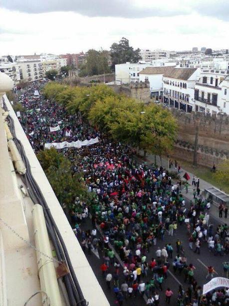 En Sevilla se tom&oacute; el Rectorado: una marea verde invade el Rectorado | Peri&oacute;dico Diagonal | Bolet&iacute;n resumen 2018. Las 25 noticias m&aacute;s le&iacute;das | Scoop.it