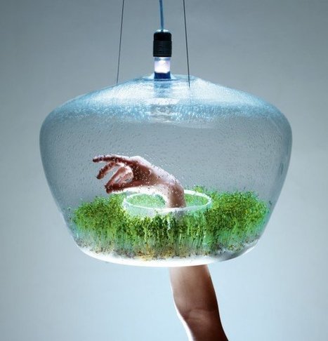 Glass Greenhouse lamp - iD Lights | 1001 Light ideas ! | Scoop.it