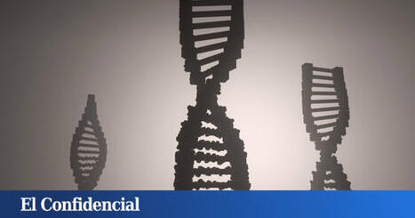 Tienes hasta un 4% de ADN neandertal y ahora la ciencia ha descubierto que ese podr&iacute;a ser tu gran punto d&eacute;bil | Mi Caj&oacute;n de Ideas | Scoop.it