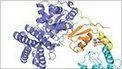 Researchers map 3D cancer protein | Science News | Scoop.it