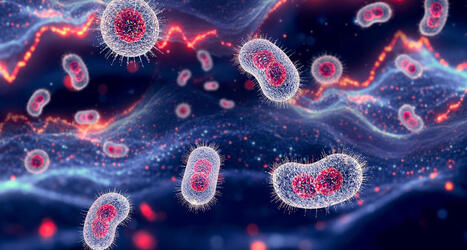 Gesundheitsamt meldet Mpox-Infektionen mit Klade Ib in Berlin &ndash; News &ndash; | Kompass-Aktuell | Scoop.it