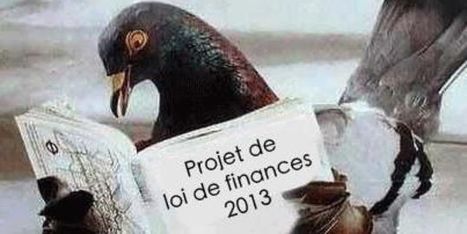 Les "pigeons" doivent faire de la politique | La lettre de Toulouse | Scoop.it