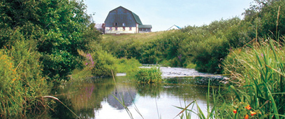 Manuel d'accompagnement de la mise en valeur de la biodiversité des cours d’eau en milieu agricole | Graines de doc | Scoop.it