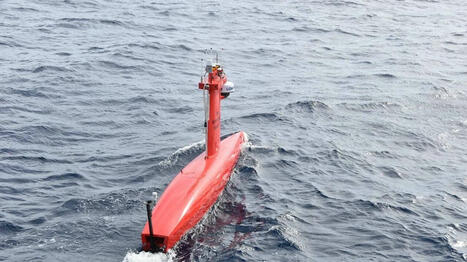INFO LE MARIN. Six dronistes français et Thales retenus pour surveiller et protéger la mer Baltique | DEFENSE NEWS | Scoop.it
