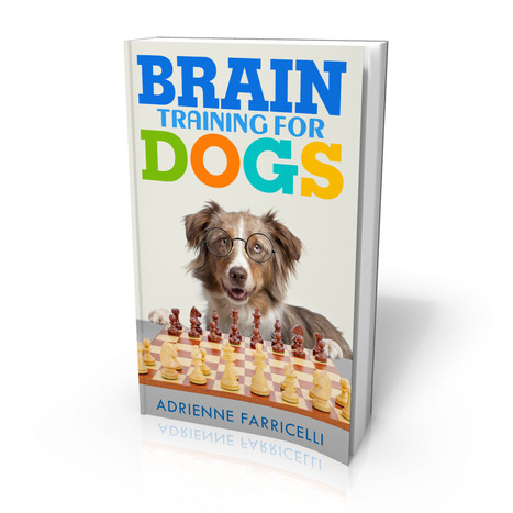 Brain Training for Dogs Adrienne Farricelli Book PDF Download Free | Ebooks & Books (PDF Free Download) | Scoop.it