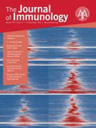 Cutting Edge: Lung-Resident T Cells Elicited by SARS-CoV-2 Do Not Mediate Protection against Secondary Infection | The Journal of Immunology | Mucosal Immunity | Scoop.it