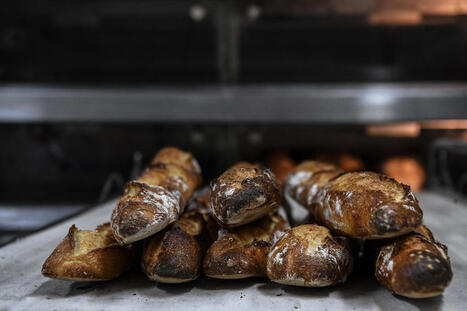 FRANCE : PFAS&nbsp;: les aliments &agrave; base de c&eacute;r&eacute;ales, surtout de bl&eacute;, sont aussi massivement contamin&eacute;s par le TFA | CIHEAM Press Review | Scoop.it